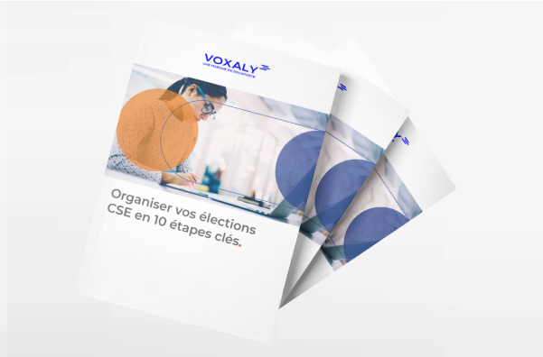 livre-blanc-CSE-voxaly-cover
